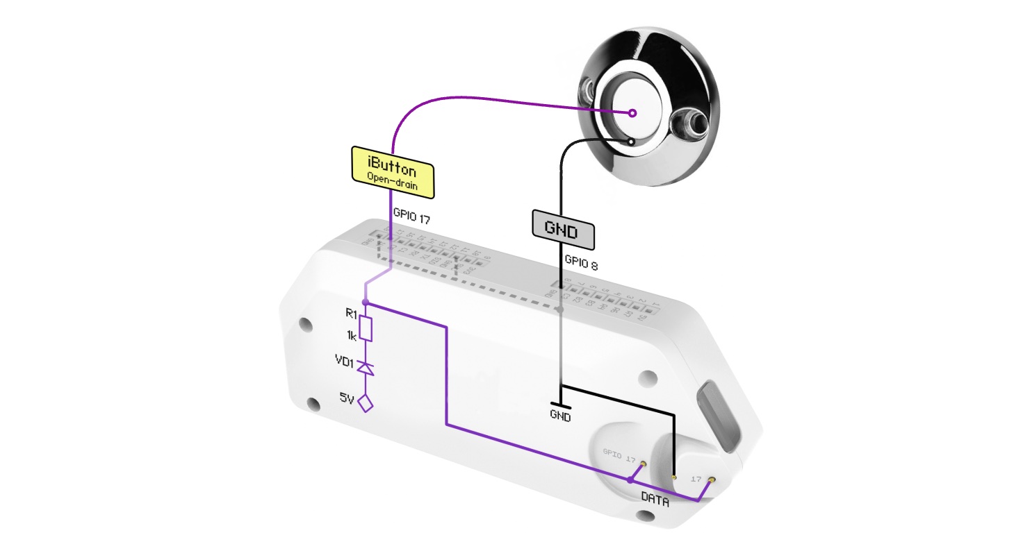 Reading iButton keys - Flipper Zero - Documentation